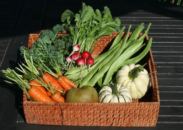 La Rivierette 3* Lille