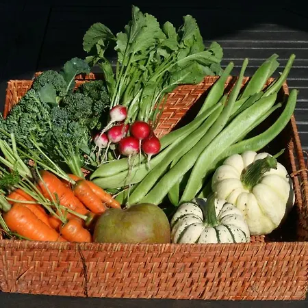 La Rivierette 3* Лилль